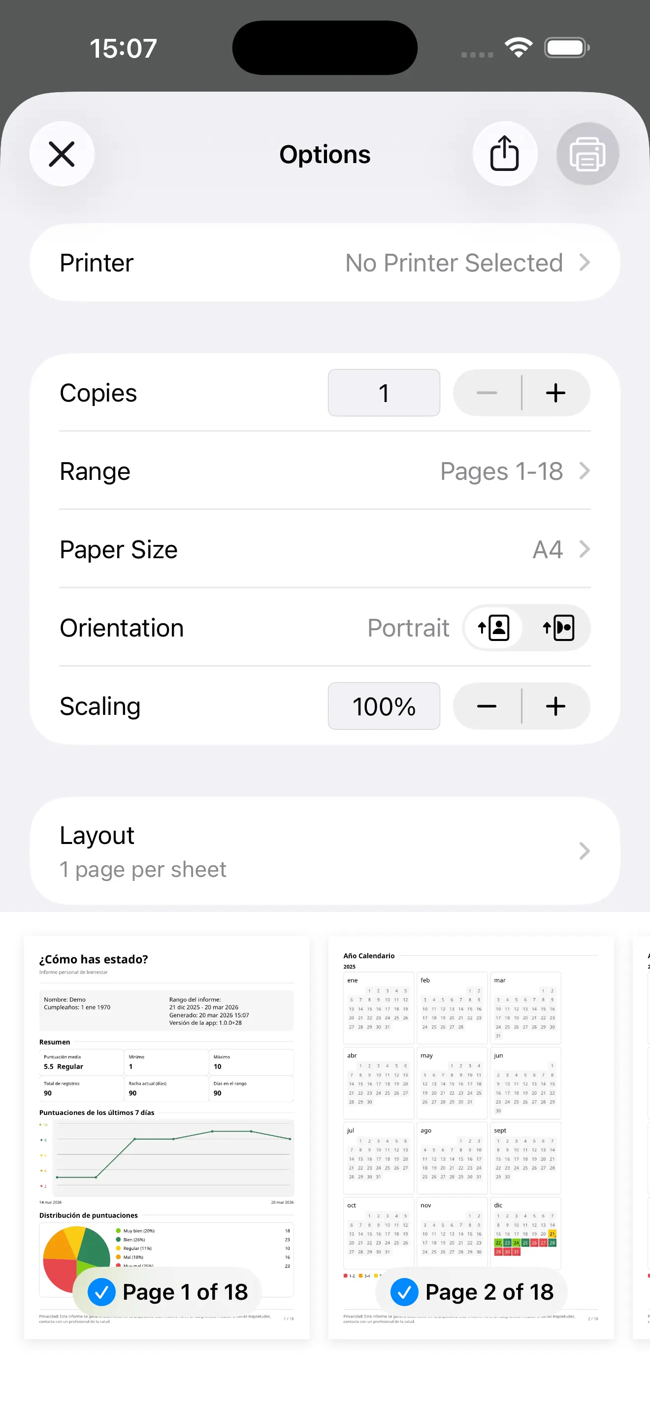 Vista previa de impresion